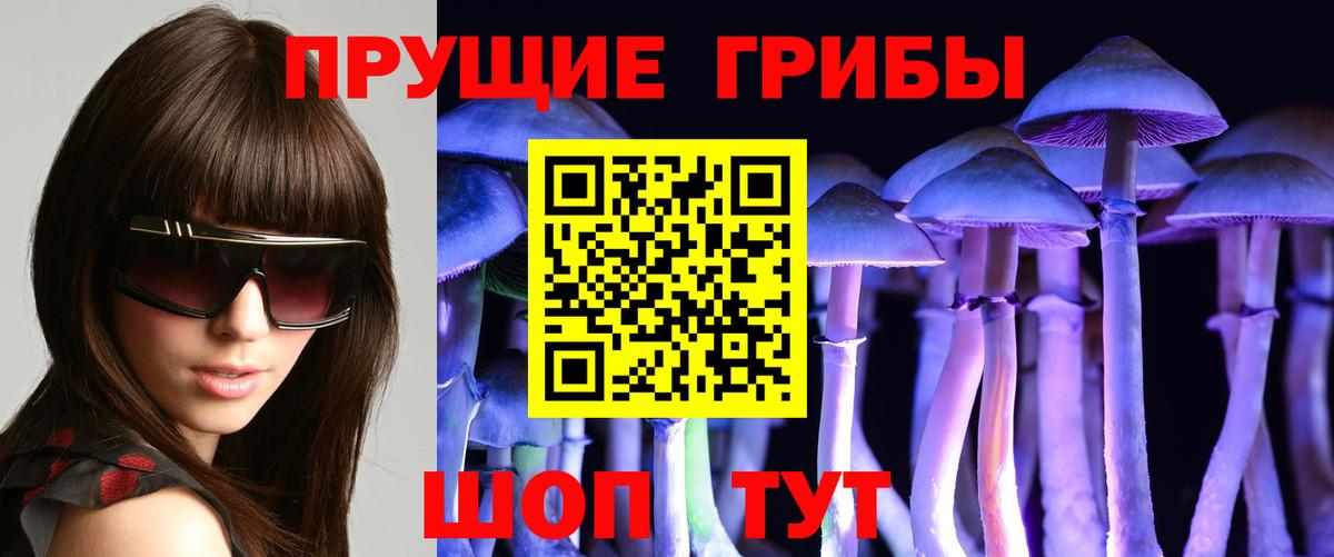 где можно купить наркотик  Псилоцибиновые грибы Psilocybe  Вход с VPN  Можга 
