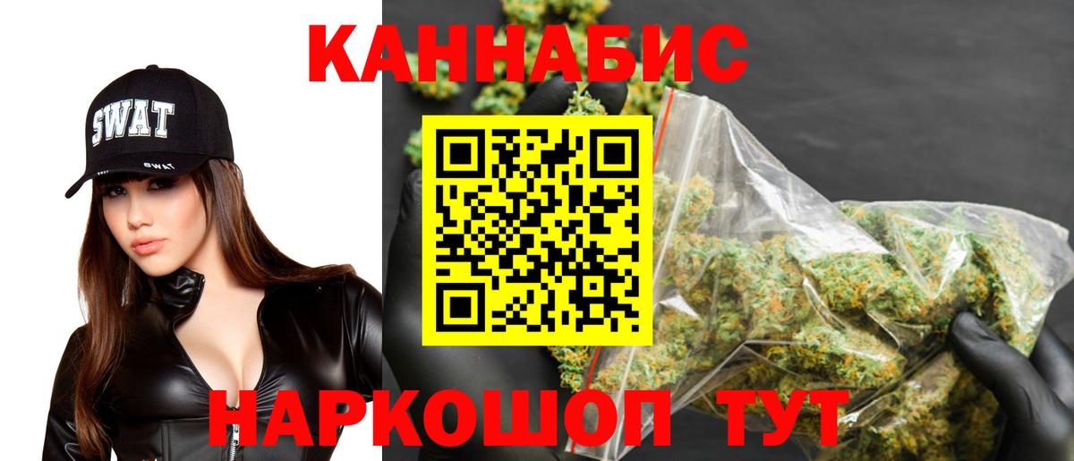 Канабис сатива Можга